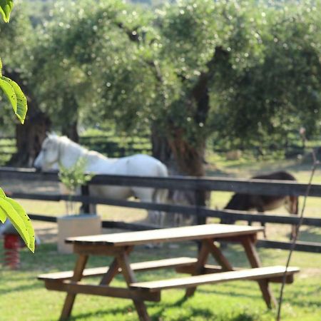 Honigtal Farmland Villa Agios Georgios Pagon Exteriör bild