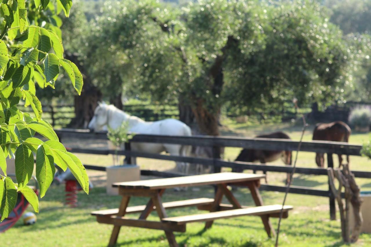 Honigtal Farmland Villa Agios Georgios Pagon Exteriör bild