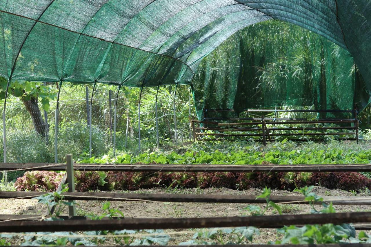 Honigtal Farmland Villa Agios Georgios Pagon Exteriör bild
